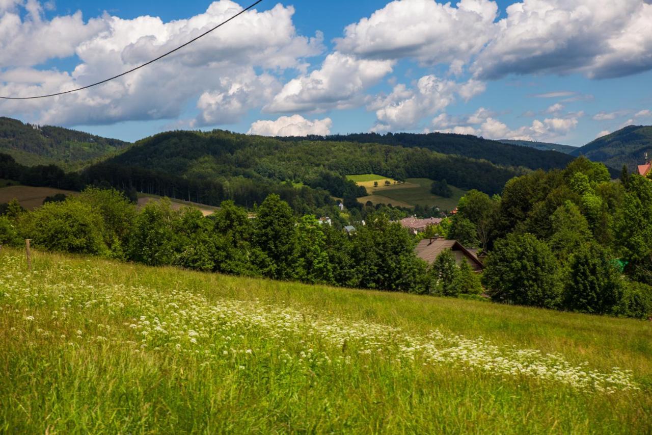Cudne Manowce Bed & Breakfast Wisla Bagian luar foto